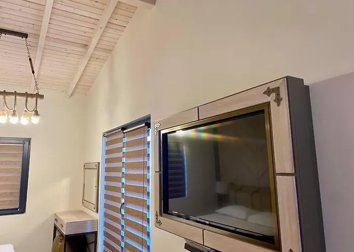 Camping Gradina Forest *